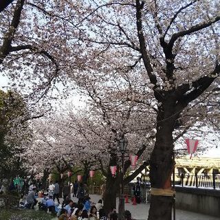 30代＆40代＆50代 🌸女性限定🌸 ちょっと落ち着いた大人女子...
