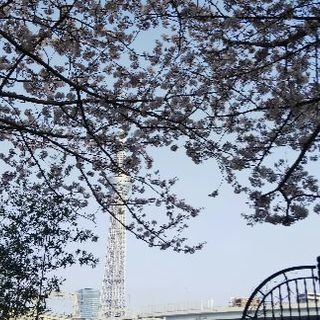 30代＆40代＆50代 🌸女性限定🌸 ちょっと落ち着いた大人女子会.お友達作りしてみませんか？ - 足立区