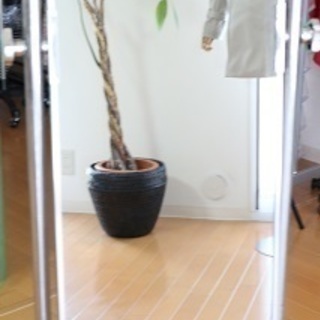 美品　キャスター付き姿見鏡の画像