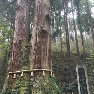 足場やりませんかの画像