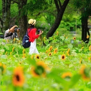 カメラ 一眼レフ 友達 − 千葉県