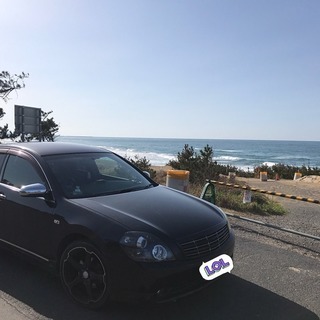 ティアナ J31 車体販売