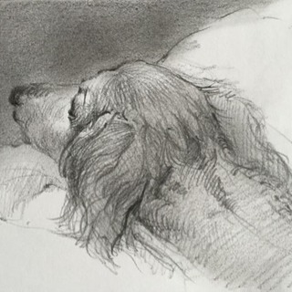 絵画教室 生徒募集の画像