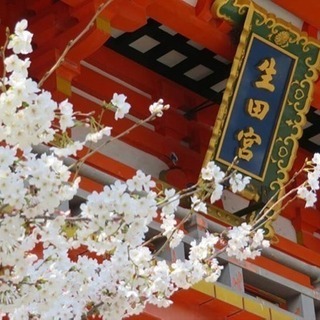 御朱印⛩生田神社＆裔社八社巡りと南京中華街食べ歩き🍙
