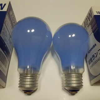 東芝　昼光ランプ　60W  40Wの画像