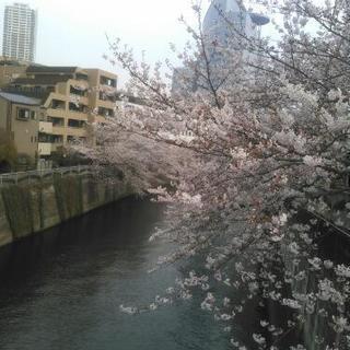 電力料金・水道料金を安くしたい方❗