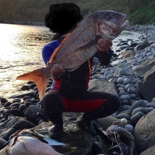 魚突き（スピアフィッシング）仲間募集！
