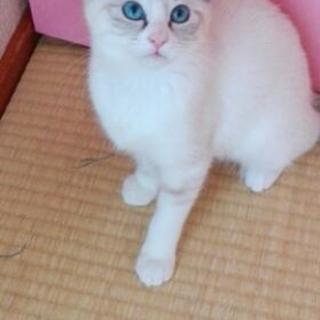 家族として大切にしていただける方