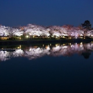4/7(土)長岡天満宮でお花見しませんか？＼(^o^)／🌸 - 友達