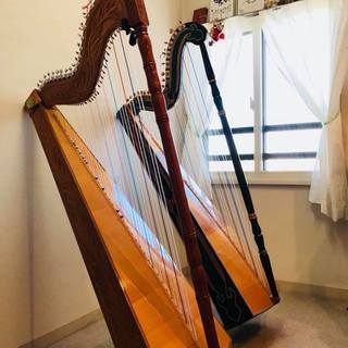 アルパ教室　パラグアイのハープ初めてみませんか♪