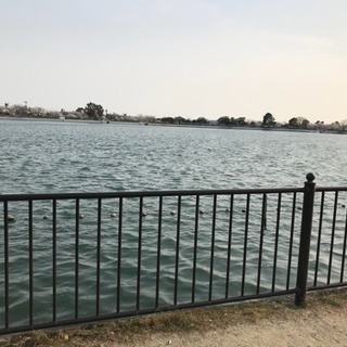 就労支援B型  スタッフ  接客経験の方歓迎！の画像