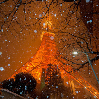 『平日昼間限定』一眼レフカメラで、もっとキレイな写真を撮ってみませんか？ − 東京都