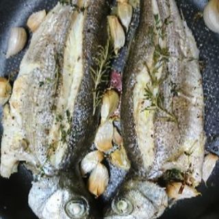 京都から日本海や大阪湾へ！バス釣りも歓迎！一緒に釣りにいきませんか？ - その他