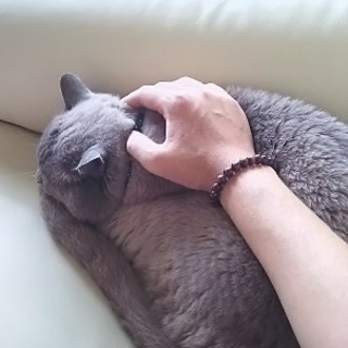 恋活最近しようと思いました(´・ω・｀)