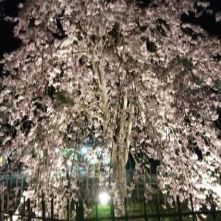恋活最近しようと思いました(´・ω・｀) - 京都市
