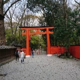 恋活最近しようと思いました(´・ω・｀) − 京都府
