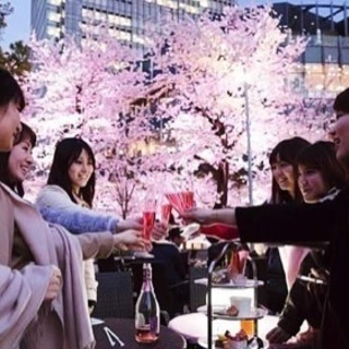 OHANAMI🌸4/8♡ - 仙台市