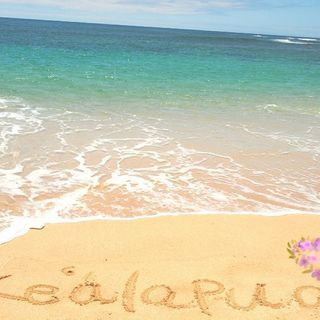 🌺駅から１分の大井町フラ教室🩷　６月体験会スタート！体験会予約中🌴🌺子供から大人まで、1から美しくフラ🌺の画像