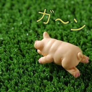 夏に向けて、ジムでトレーニング！！