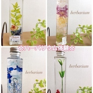 🌸ワイヤーアレンジハーバリウム体験🌸の画像