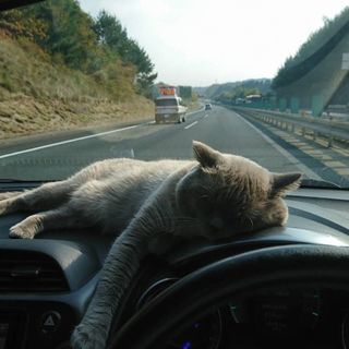 恋活最近しようと思いました(´・ω・｀) - メンバー募集
