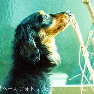 お写真残しませんか？