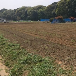 カキ殻、貝殻、カニ殻などお譲り下さい。