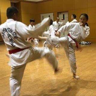 土浦テコンドー道場 会員募集！春入会キャンペーン！の画像
