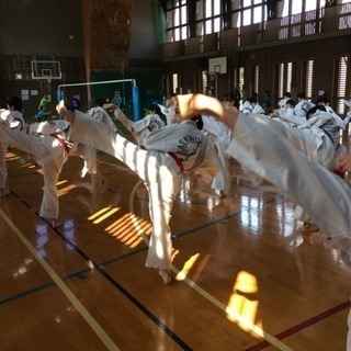 土浦テコンドー道場 会員募集！春入会キャンペーン！の画像