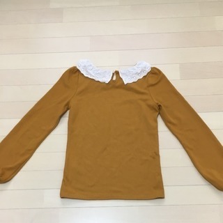 トップスの画像