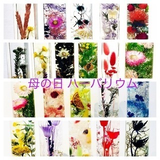 〔初〕ビッグサイズハーバリウム＆母の日ギフトに手作りハーバリウム