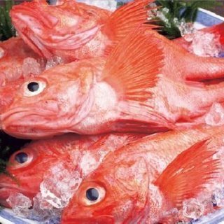 《未経験者大歓迎！》落ち着いた和食料理屋で働きませんか？の画像