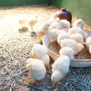 写真・カメラ好き募集です(^-^)