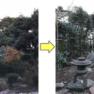 旭区の庭木剪定／お庭の手入れ／伐採／特殊伐採／草むしり／草刈り／お庭の困ったを解決　※見積もり無料　※身分証＆電話認証済みの画像