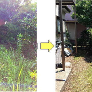 旭区の庭木剪定／お庭の手入れ／伐採／特殊伐採／草むしり／草刈り／お庭の困ったを解決　※見積もり無料　※身分証＆電話認証済み - 便利屋