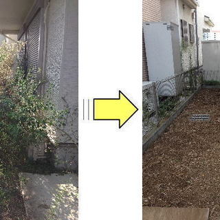 旭区の庭木剪定／お庭の手入れ／伐採／特殊伐採／草むしり／草刈り／お庭の困ったを解決　※見積もり無料　※身分証＆電話認証済み - 地元のお店