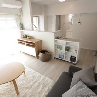【初期費用は家賃のみ】リノベーションの１LDK【保証会社も保証人も不要】の画像