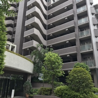 移転のため急ぎ売却　大幅値下げ！日当たり風通し良好、美邸　　　　　　北千里グランドパークスクエアC棟の画像