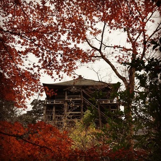 【急募】カフェスタッフ募集！の画像