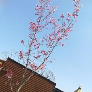 ☆朝活 in 茨木☆