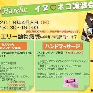 イヌ♡ ネコ譲渡会