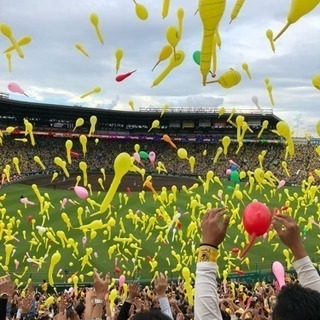 阪神ファンの観戦友達募集