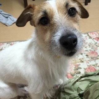 素敵なご家族の元に家族として迎え入れて頂きました