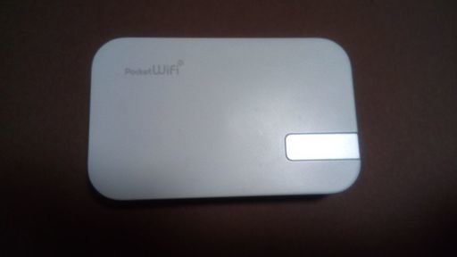 その他 401HW