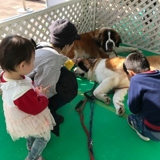 ５／１２・１３ 宇都宮市内イベントスタッフ募集の画像