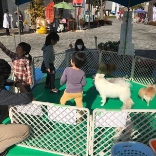 ５／１２・１３ 宇都宮市内イベントスタッフ募集の画像