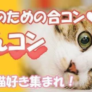 にゃんコン ☆猫好き集まれ！4月28日（土） ★愛知★半田★