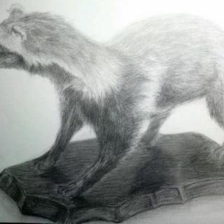 絵描き仲間募集
