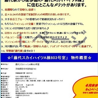 🌺初期費用2万円台〜🌺🌸大家直接募集🌸👦🏻連保不要、生保可👦🏻🌺敷金礼金・家賃1か月分ゼロ🌺🟡藤代スカイハイツA棟813号室🟡🏠長谷工コーポレーション施工、分譲仕様マンション🏠🌺3LDK、周辺駐車場あり🌺🚉取手駅 藤代駅 佐貫駅🚉 − 茨城県