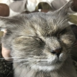 友達募集！